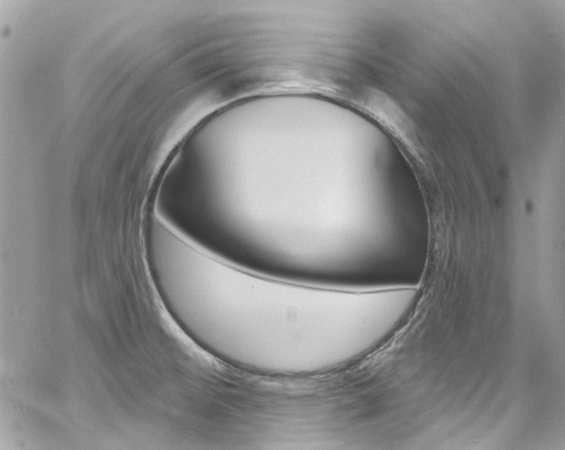 X0000060811476200511101023