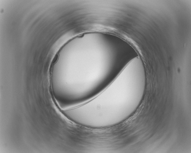 X0000060811479200511101023