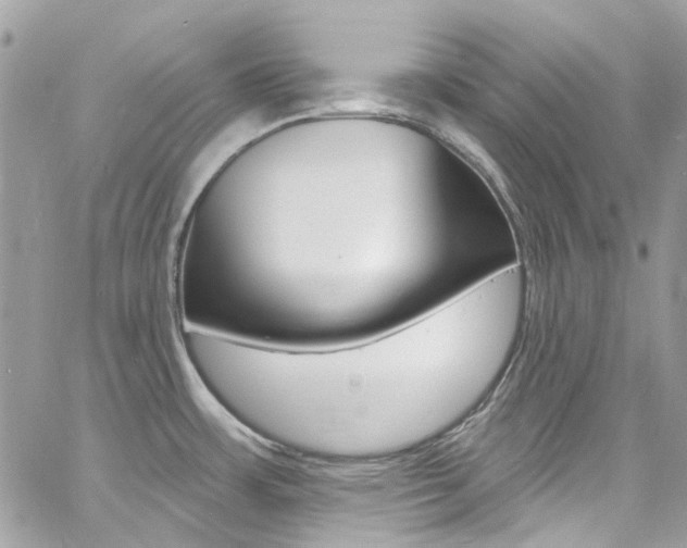 X0000060811483200511101023