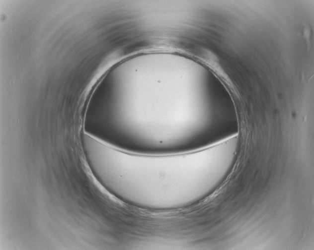 X0000060811484200511101023