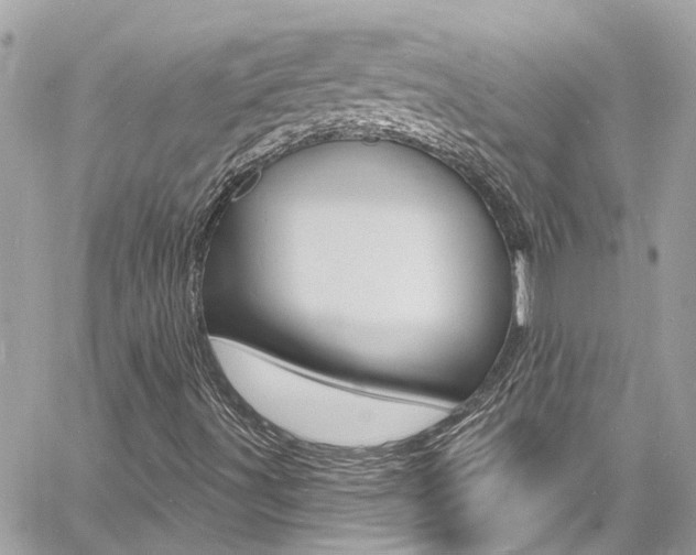 X0000060811491200511101022