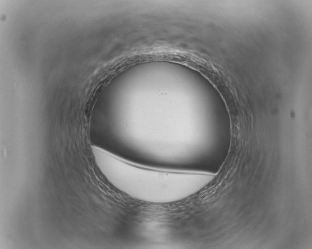 X0000060811493200511101022