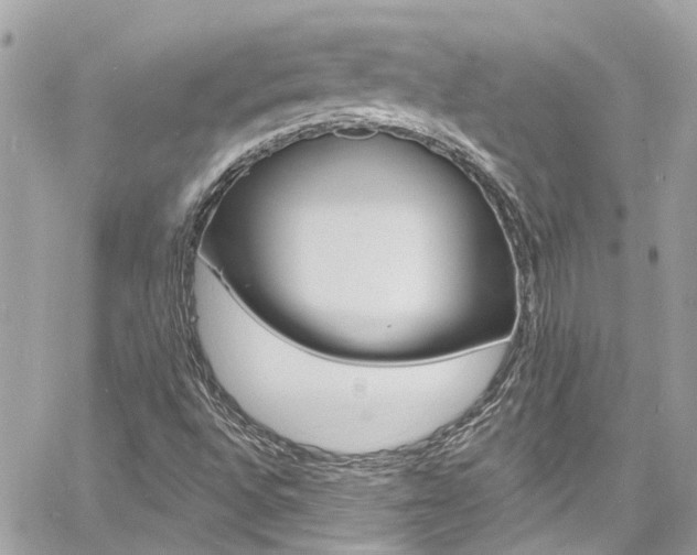 X0000060811496200511101022