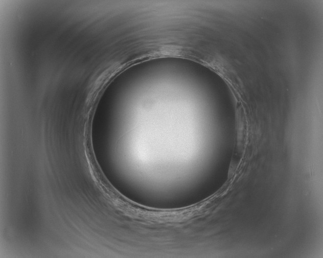 X0000060810001200511101505