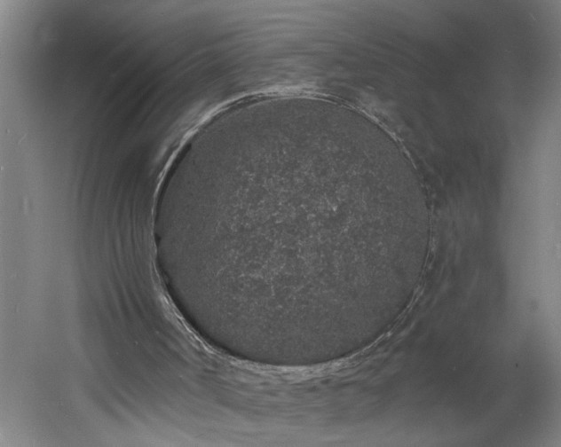 X0000060810002200511101505