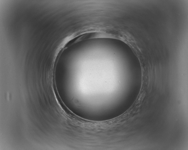 X0000060810003200511101505