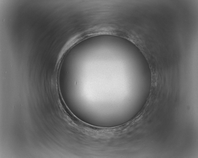 X0000060810004200511101505