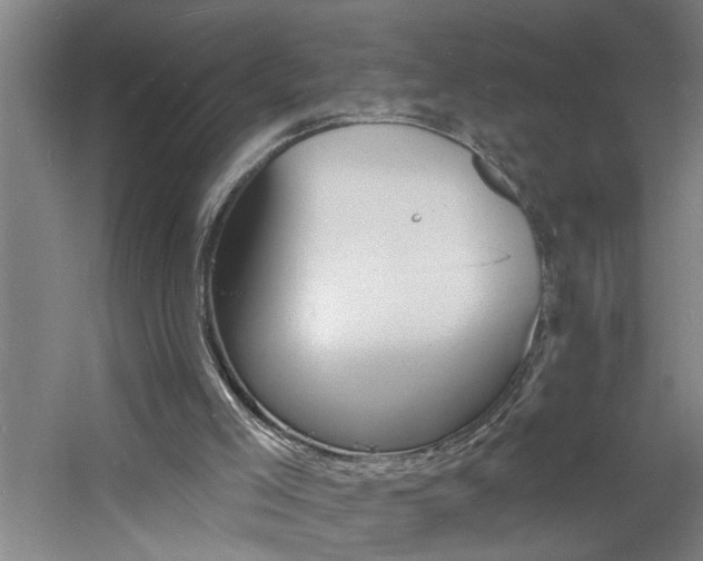 X0000060810005200511101505