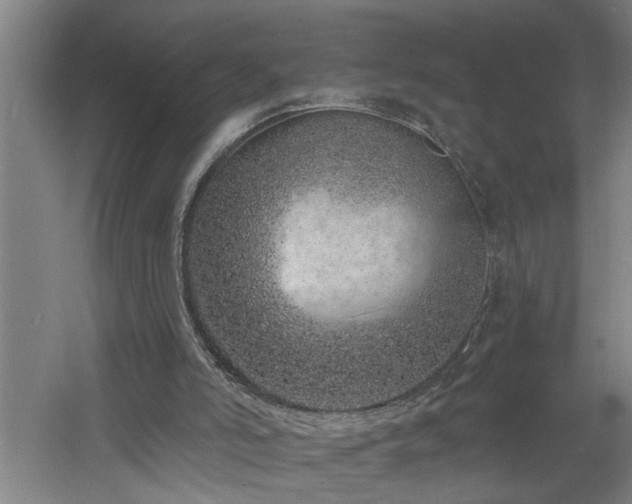 X0000060810006200511101505