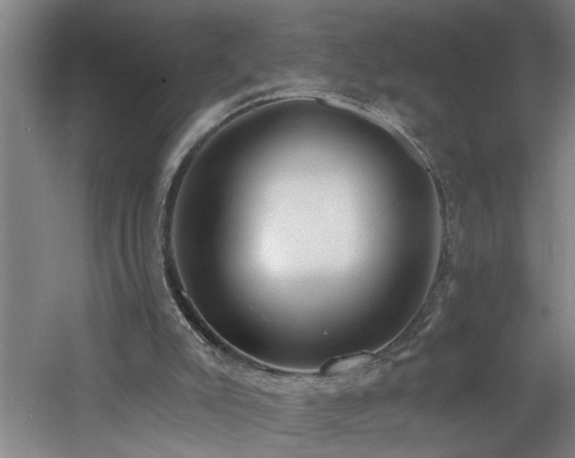 X0000060810007200511101505