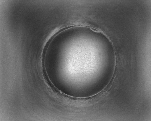 X0000060810008200511101505