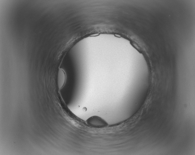 X0000060810009200511101505