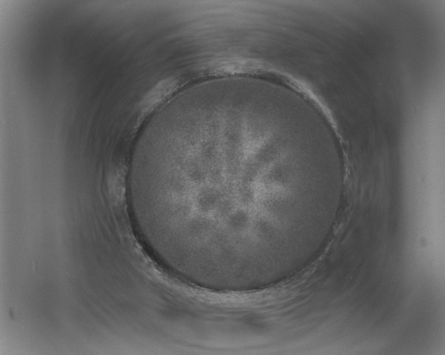 X0000060810010200511101505