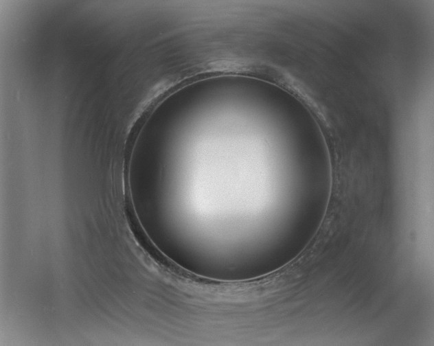 X0000060810011200511101505