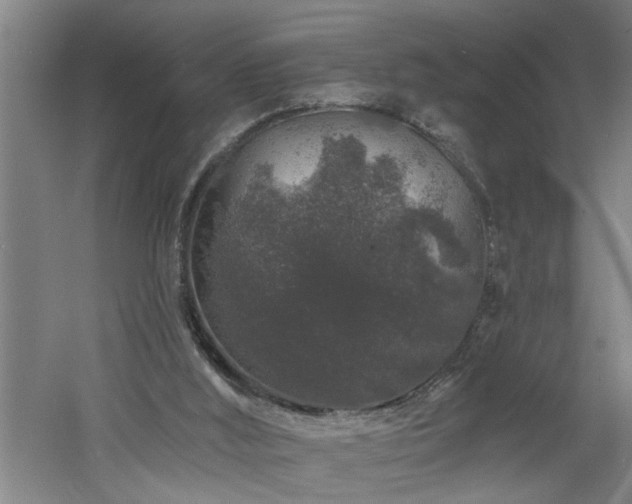 X0000060810012200511101505