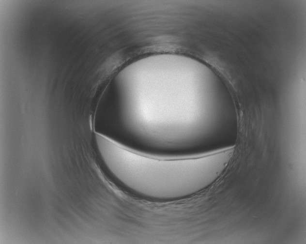 X0000060810013200511101505