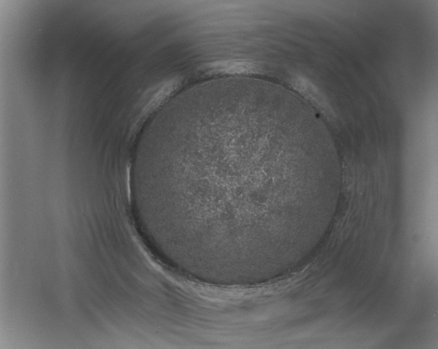 X0000060810014200511101505