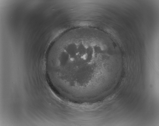 X0000060810016200511101505