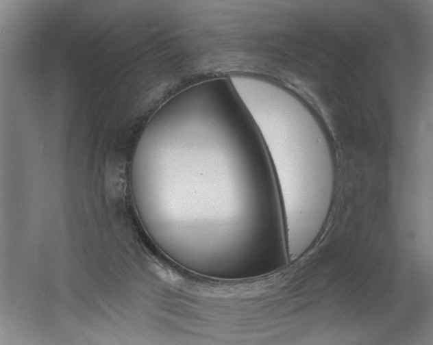 X0000060810017200511101505