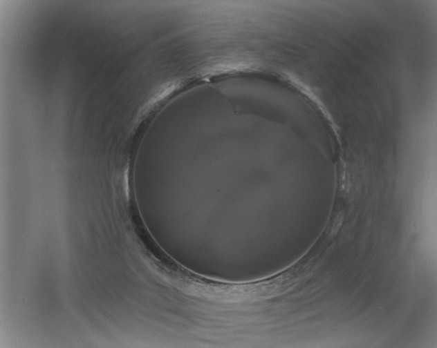 X0000060810019200511101505