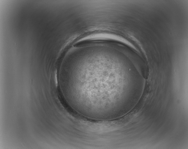 X0000060810020200511101505