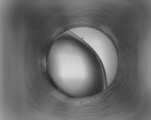 X0000060810021200511101505