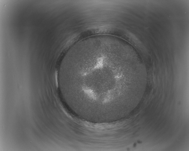 X0000060810022200511101505