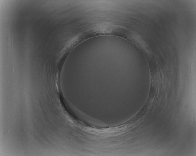 X0000060810023200511101505