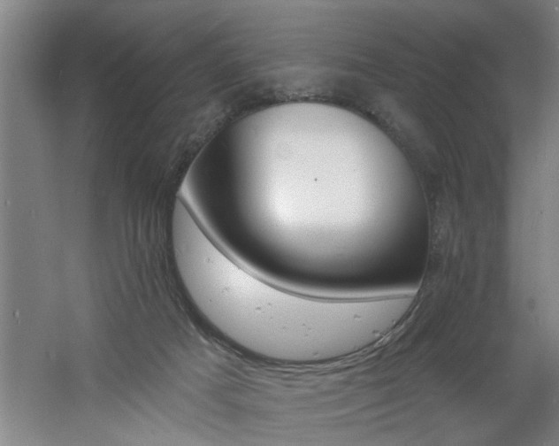 X0000060810025200511101505