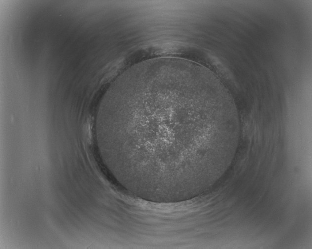 X0000060810026200511101505