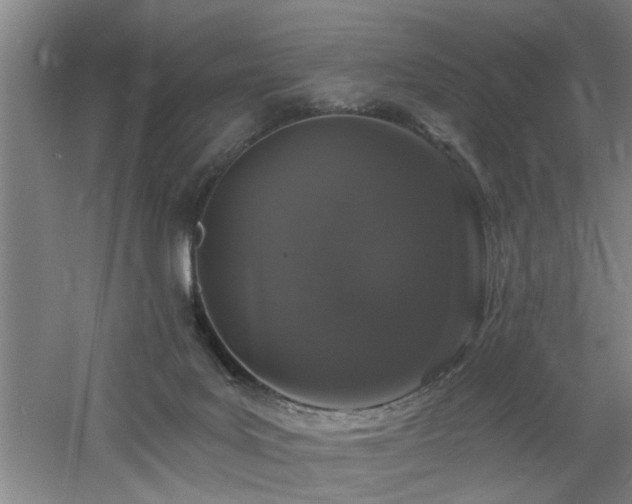 X0000060810027200511101505