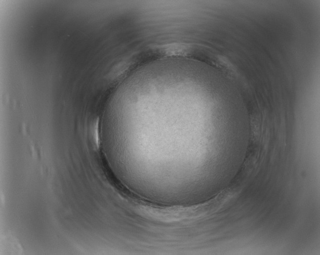 X0000060810028200511101504