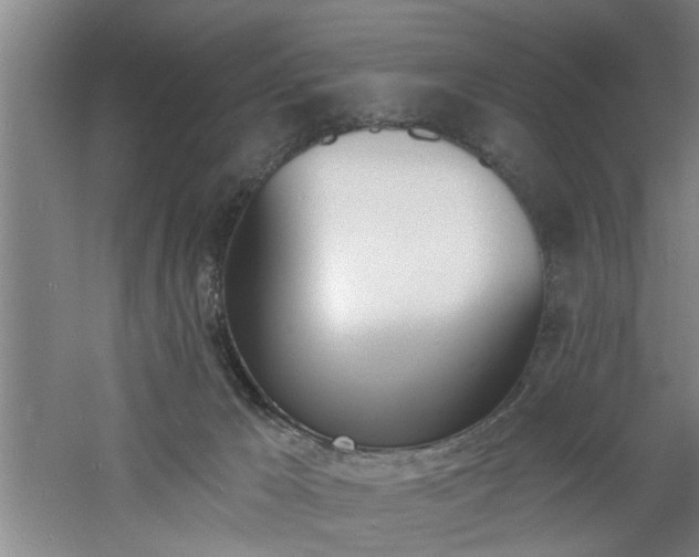 X0000060810029200511101504