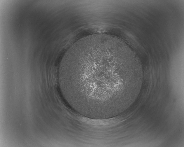 X0000060810030200511101504