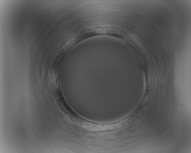 X0000060810031200511101504