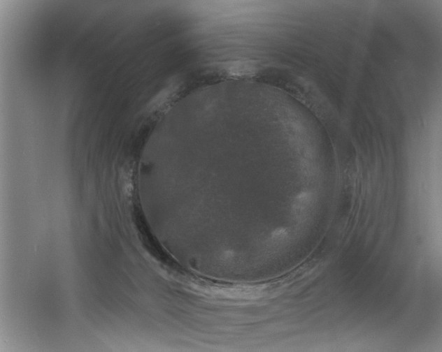 X0000060810032200511101504