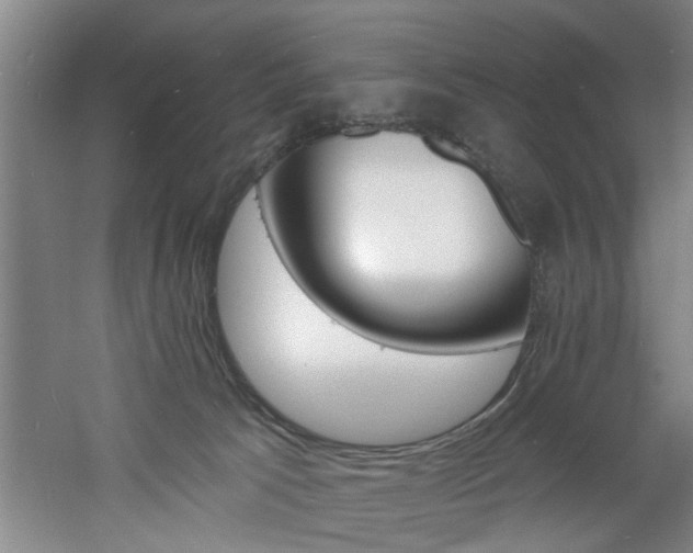 X0000060810033200511101504