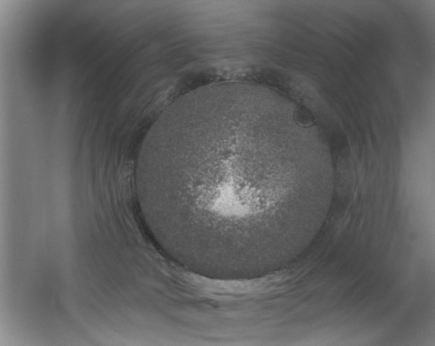 X0000060810034200511101504