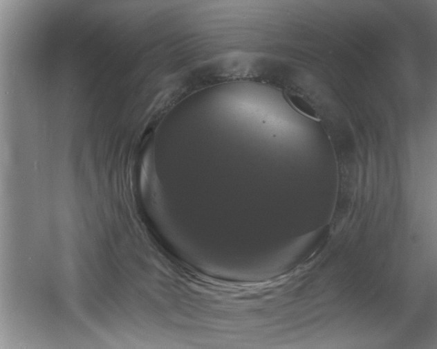 X0000060810035200511101504