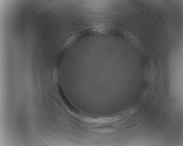 X0000060810036200511101504