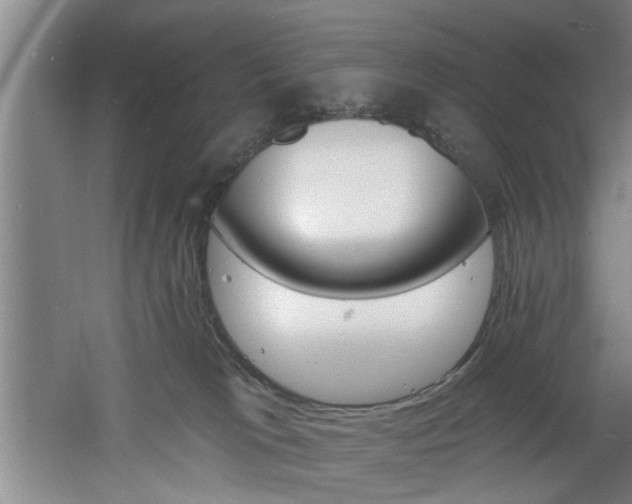 X0000060810037200511101504