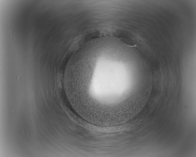 X0000060810038200511101504