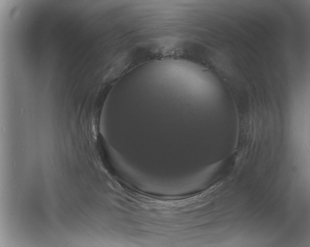 X0000060810039200511101504