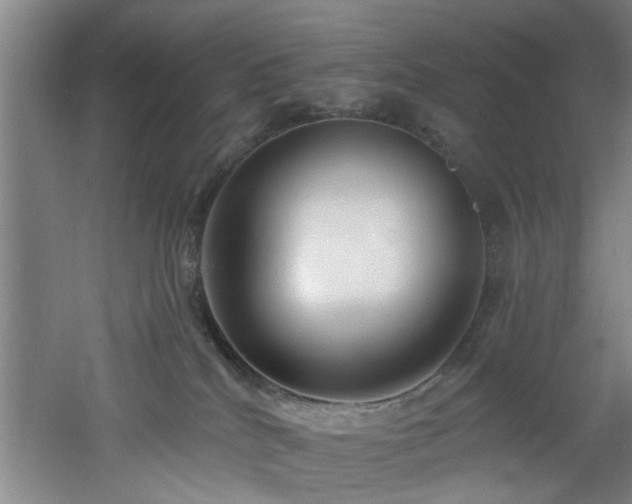 X0000060810040200511101504