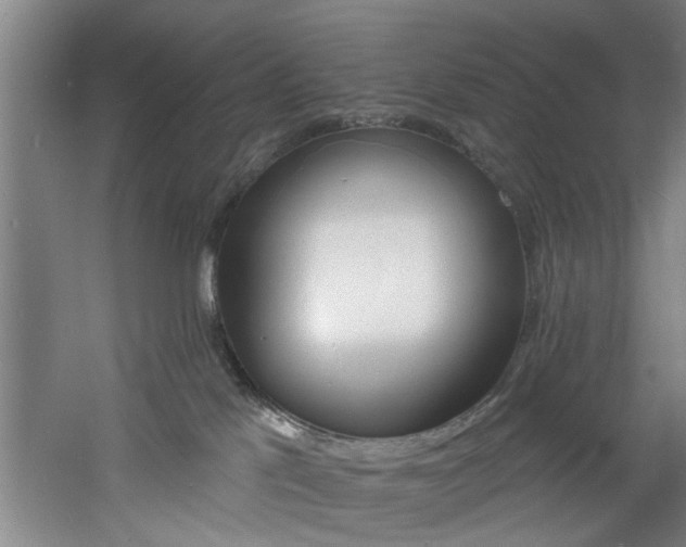 X0000060810041200511101504