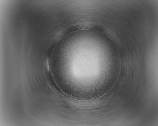 X0000060810042200511101504