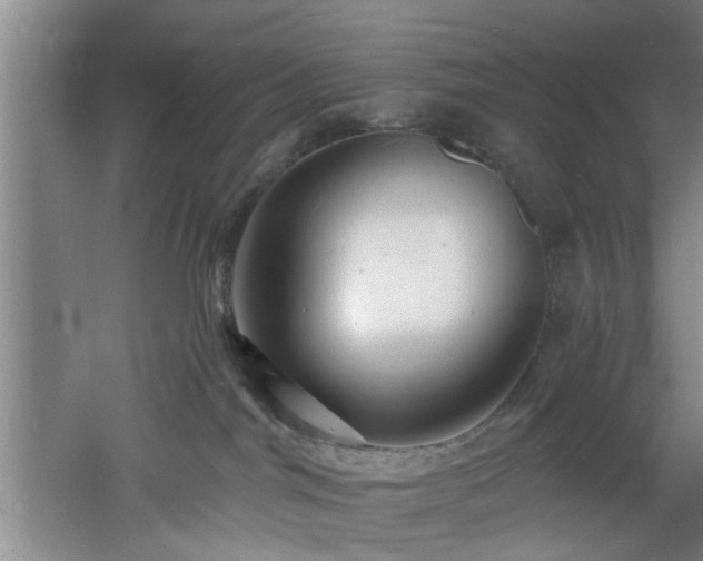 X0000060810044200511101504