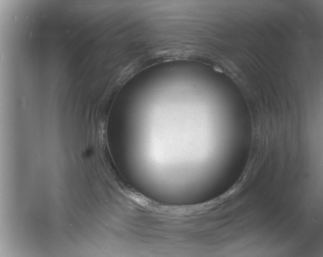 X0000060810045200511101504