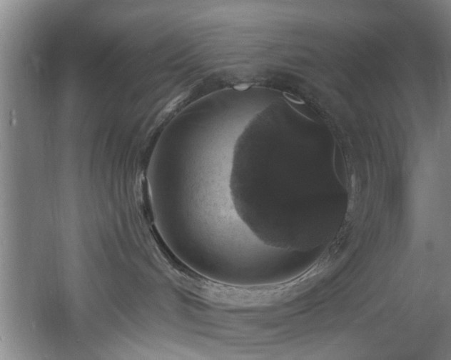 X0000060810048200511101504