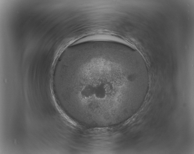 X0000060810049200511101503